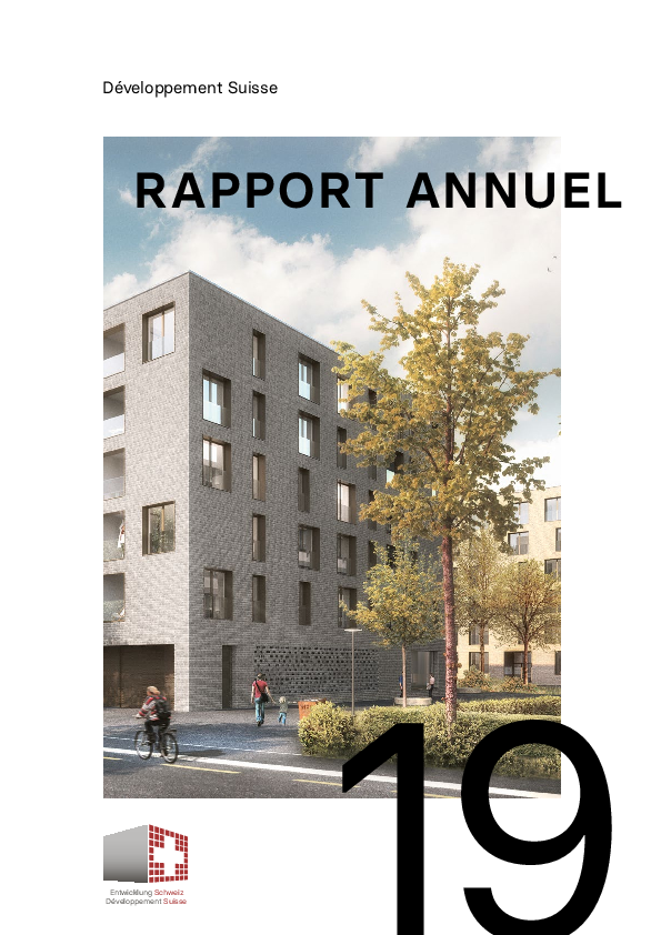 rapportannuel_2019_developpementsuisse.pdf